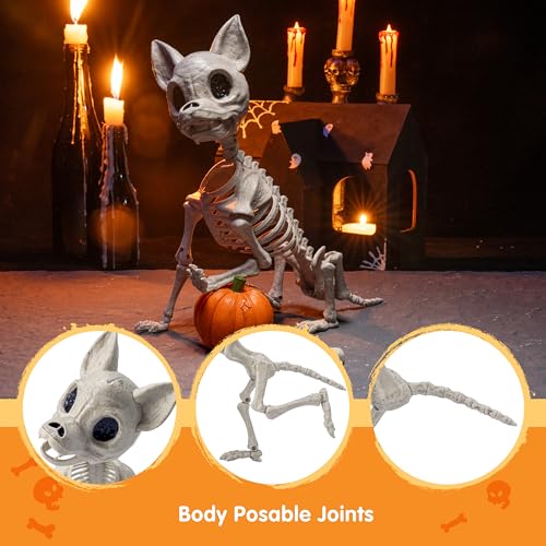Image of JOYIN Plastic Chihuahua Dog Skeleton Halloween Decorations 12.6 inches Plastic Puppy Bones Skeleton with Posable Joints for Halloween Indoor Outdoor, Graveyard Party Decor
