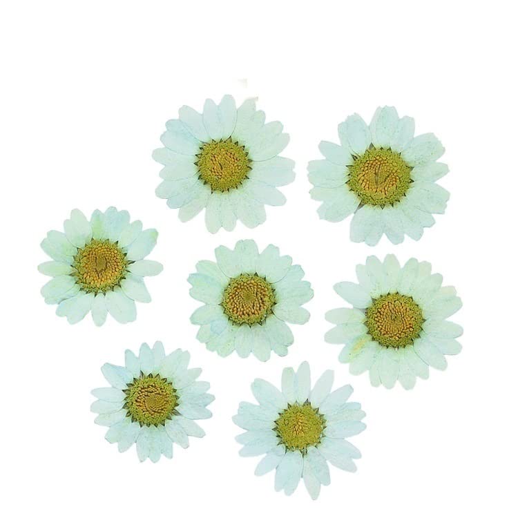 Flores secas prensadas para manualidades 120 pcs miniatura 1