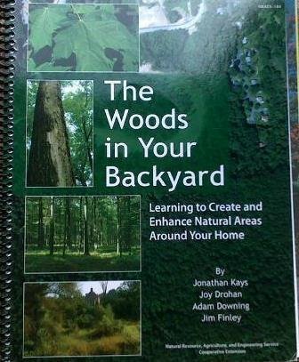 The Woods in Your Backyard: Learning to Create and Enhance