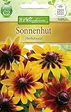 einjährig Chrestensen Sonnenhut \'Herbstwald\'