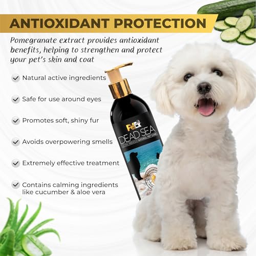 Petex-Premium-Pet-Shampoo-Ultra-Premium-Natural-Pet-Care-with-Dead-Sea-Minerals-Hypoallergenic-Dog-Shampoo-Suitable-for-Dogs-and-Cats