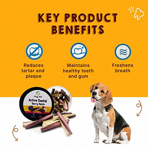 Image of Goofy Tails Active Blueberry and Apple Dental Stick 220g, Dog Treats Non Vegetarian, Dental Sticks for Dogs, Chew Sticks for Dogs, Dog Chew Stick