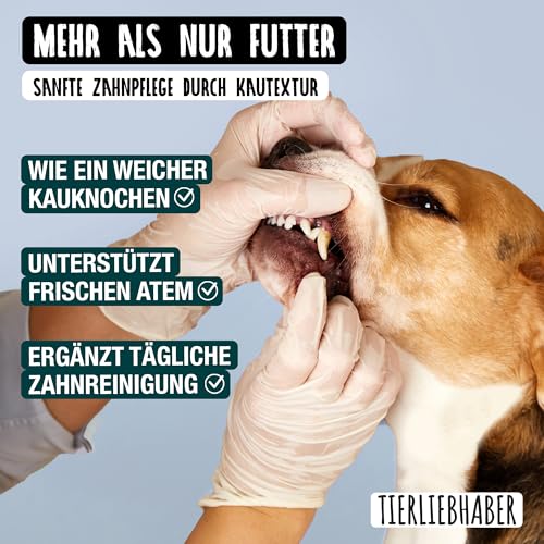 TIERLIEBHABER – Hundefutter Nass 800g 6X Ziege mit Pastinake – Von Tierärzten entwickelt – Nassfutter Hund mit 91% Fleischanteil – Dog Food als Hundenassfutter 800g Dosen