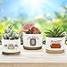 KONROOWEI 3 Pcs Friends tv Show Cute Merchandise Ceramic Plant Pots,Funny Friends Decor Themed Gifts for Women,for House Plants Garden Planters Succulent Pots(Not Included Plants)