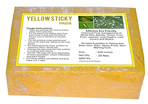 Yellow Sticky Pads Control for Aphids, Thrips, Fruit Flies, Jassids, Leaf Hoppers - 25 Cards - Size 6"x 8"- ONLY for Agriculture USE- (B08YD5SY4X) Amazon Price History, Amazon Price Tracker