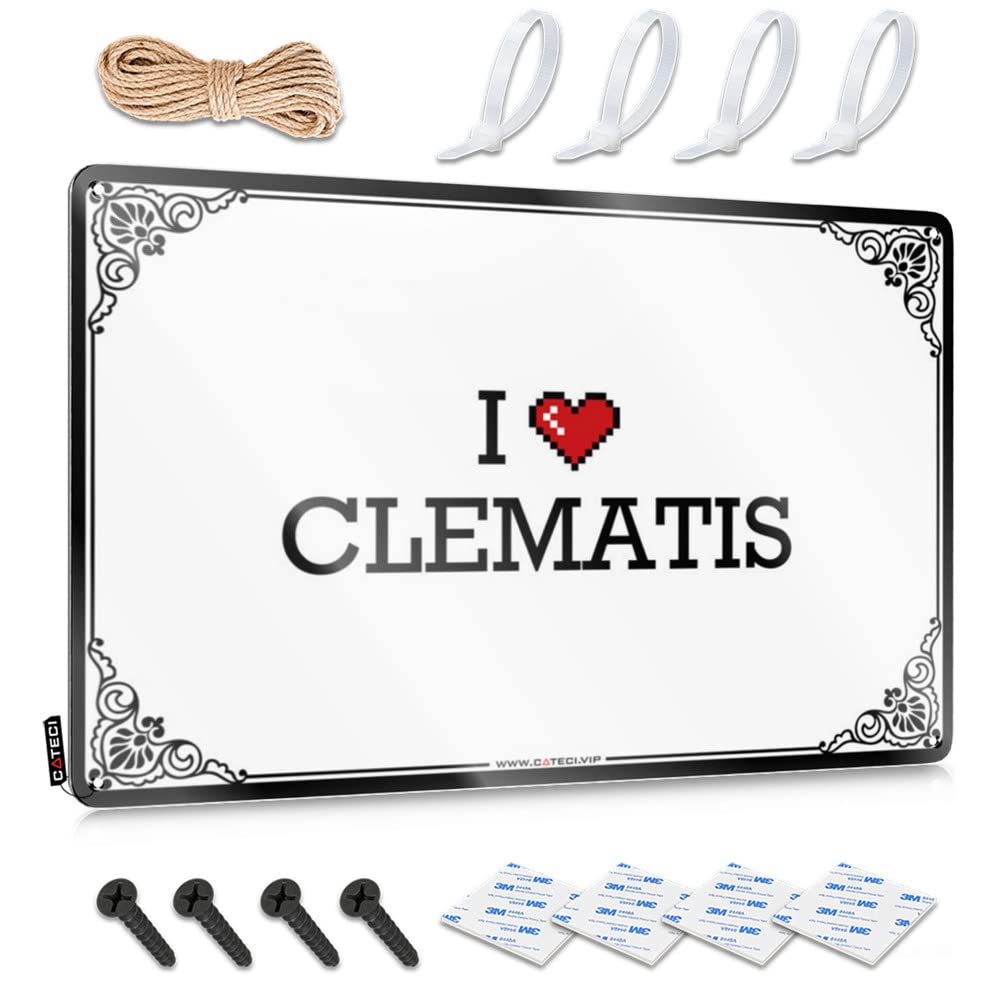 I Love Clematis Patriotic Custom - Decoration Accessory Hanging Wall Decor(30X40CM)