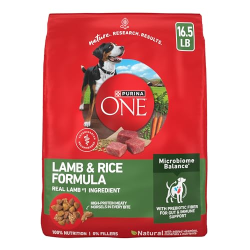 Purina ONE Dry Dog Food Lamb and Rice Formula - 16.5 lb. Bag