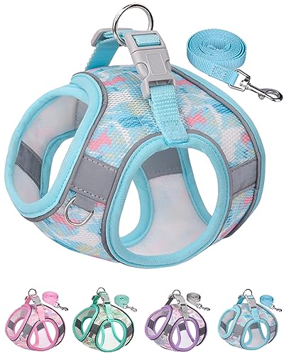 Aecllcea Dog Harness for Small Medium Dogs No Pull, Cat Harness and Leash Set, Step in Puppy Harness. (Bule, M)