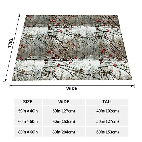 Couverture imprimée bouleaux chaude et douce - Plaid grand format pour lit - 5
