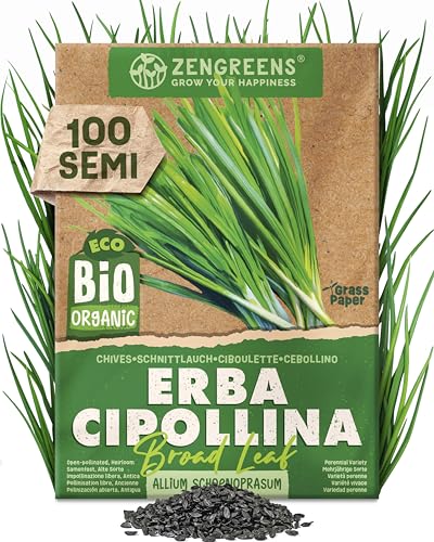 ZenGreens® Semi di erba cipollina biologico - Semi di erbe aromatiche per la coltivazione in giardino, sul balcone o in cucina - Ideali per i principianti