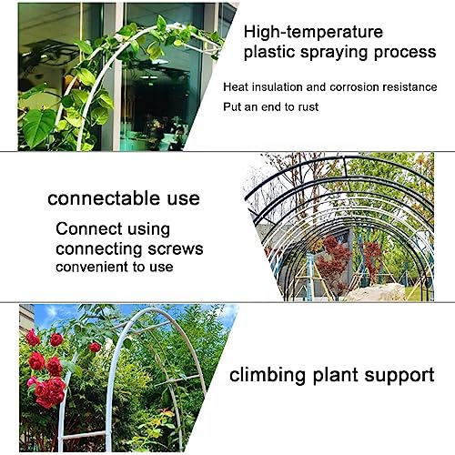 Support d'arche de jardin extérieur durable réglable en métal vert