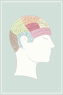 Laminated Phrenology Brain Region Mapping Head Chart Educational Medical Poster Dry Erase Wall Art 16x24