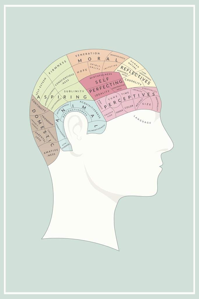 Laminated Phrenology Brain Region Mapping Head Chart Educational Medical Poster Dry Erase Wall Art 16x24