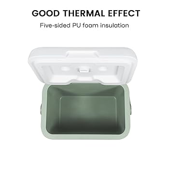 Amazon.com: WXPSKY Small Cooler Hard Shell, 11 Qt Portable