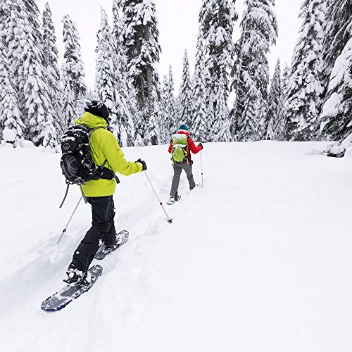 MSR DynaLock Trail 2-Section Alumunium Backcountry Poles, White, 80-140cm by MSR - Used condition - US$49.18