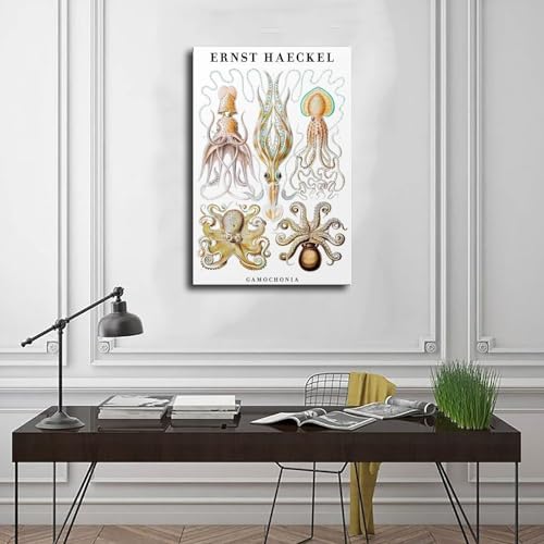 Toile Céphalopodes Ernst Haeckel décoration murale chambre
