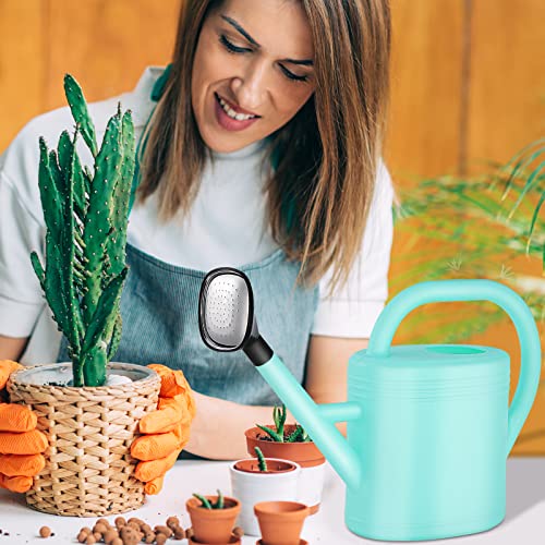 Watering Can for Indoor Plants, Garden Watering Cans for Outdoor Plant House Flower, Modern Plant Watering Can Large Long Spout with Sprinkler Head 1 Gallon