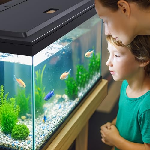 Image of LED Aquarium Hood, White Lights, Fits 24 inch Framed Aquariums, Black