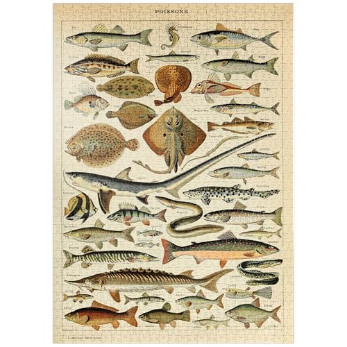 MyPuzzle Peixes para todos, cartaz de arte de época, Adolphe Millot - Premium 1000 peças puzzle - coleção especial MyPuzzle de Havana Puzzle Company