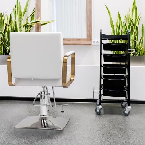 Winado-Salon-Chair-Styling-Barber-Chair-Beauty-Salon-Spa-Equipment-with-Heavy-Duty-Hydraulic-Pump-Adjustable-Height-360-Swivel-for-Barber-Shop-Hair-Stylist-Max-Load-330-lbsWhite