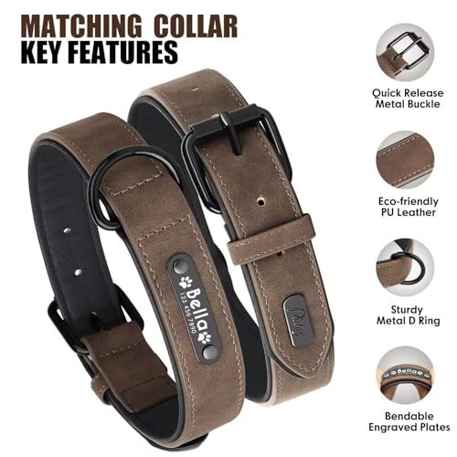 Didog Hundehalsband, weiches, gepolstertes, Leder, mit personalisierbarem, graviertem Namensschild, D-Ring. Für kleine und mittelgroße Hunde geeignet.