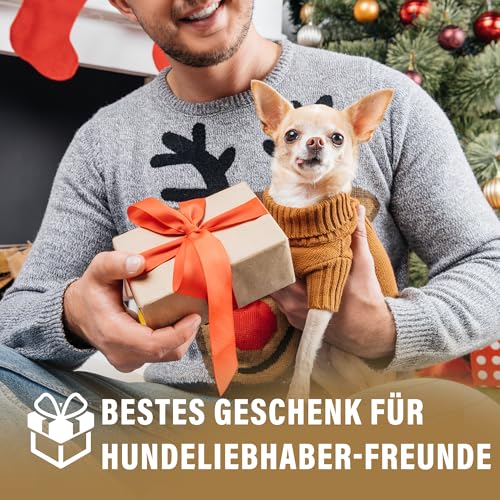 Magnet 'Hund Gefüttert' Futteranzeige – Praktische Fütterungshilfe & Erinnerung (Morgens/Abends), Acryl Silber gebürstet, Haftet magnetisch, inkl, 2 Paar Klebepads, 12 x 6.8 cm