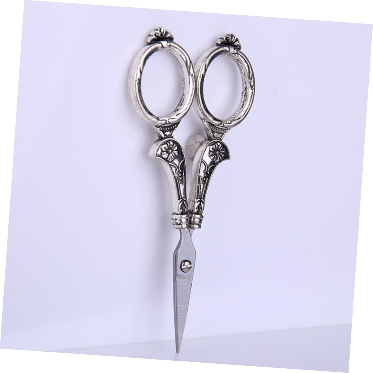 Forbici da Ricamo in Acciaio Inox Argento, Set 1 Pezzo | Taglio Preciso, per Rifiniture e Lavori di Cucito, Stile Retrò Compatto