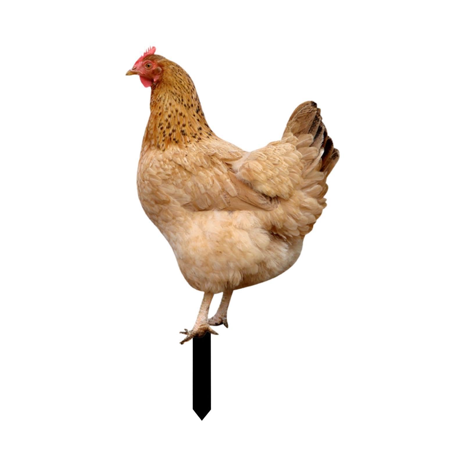 Mophrati Chicken Sculpture Garden Stakes Decorative Garden Statues Add Of Whimsy To Yard Acrylic Chicken Yard Decor Is Gift Animal Statue Stakes Sculpture, Style B