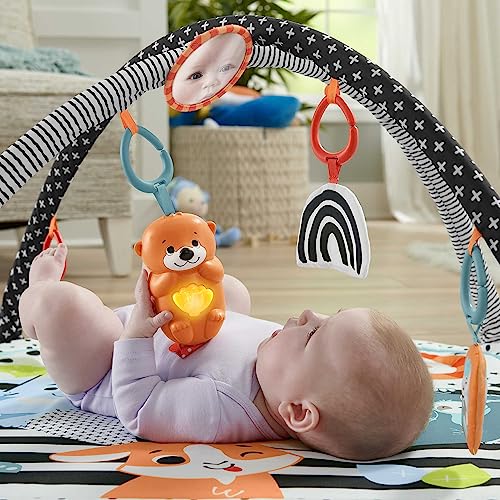 Fisher-Price-Tierfreunde-Kontrast-Spieldecke-Spielbogen-Baby-Spielzeug-mit-Musik-und-Licht-Krabbeldecke-fur-Baby-Spielebogen-weich-Spielbogen-Baby-Madchen-Jungen-Baby-Ausstattung-0-HPF39