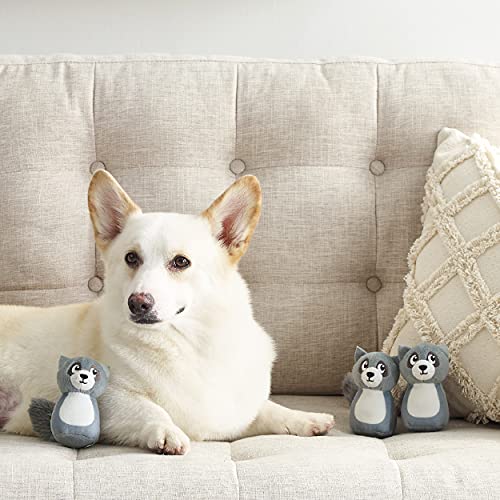 Image of Outward Hound Squeakin' Raccoon Hide A Puzzle Plush Replacement Dog Toys - 3 Pack