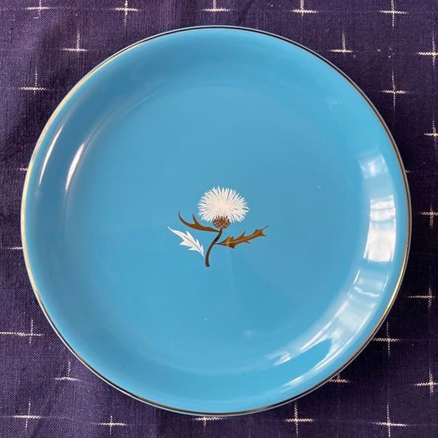 51u8wMZjV4L._AC_UF894,