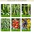 7Ft Adjustable Garden Arch Trellis for Climbing Plants Outdoor, Heavy Duty Rustproof Stainless Steel Cucumber Trellis for Raised Beds, Tall Metal Plant Support for Tomato, Squash, Beans, Flowers