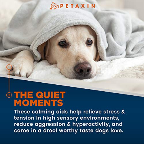 Calming Treats For Dogs – Stress & Anxiety Relief For Dogs – Supports Calm & Relaxed Behavior – Calming Chews For Dogs With Chamomile, Ginger, & More for Barking, Fireworks, Storms – 120 Chews Calming Treats For Dogs – Stress & Anxiety Relief For Dogs – Supports Calm & Relaxed Behavior – Calming Chews For Dogs With Chamomile, Ginger, & More for Barking, Fireworks, Storms – 120 Chews