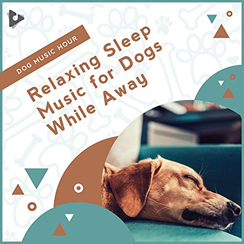 Relaxing Sleep Music for Dogs While Away by Dog Music Hour, Dog Music