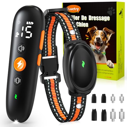 Luctry Collier de Dressage pour Chien avec Telecommande, IPX7 Étanche