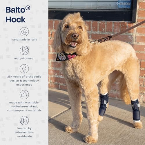 Image of Balto Hock Brace - Dog Brace with Aluminum Splints - Pre /Post Surgery Helps Support Arthritis and Unstable Joints - Back Leg Support (Large)