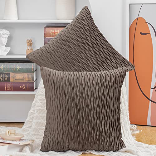 Madizz Pack of 2 Super Soft Velvet Decorative Cushion Covers with Texture Luxury Style Throw Pillow Cases European Pillow Shell for Sofa Bedroom Square Brown 24x24 inch