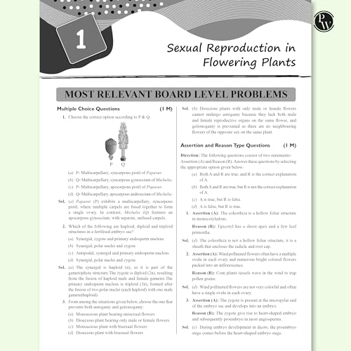 Image of PW Class 12 Board The Catalyst For Biology with Most Relevant Practice Questions Booklet By Samapti Mam & Yashika Mam For 2026 Exam | Handwritten Notes | Detailed Theory, PYQs
