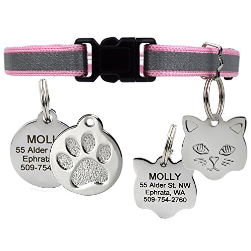 GoTags Reflective Cat Collar with Personalized ID Tag in Stainless Steel, Breakaway Cat Collar with Bell and Custom Engraved Cat Tag with up to 4 Lines of Custom Text, (Pink)
