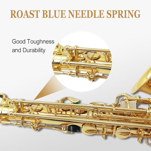 alto saxophone beginner kit for adults student saxophone eb professional brass saxophones instrument with sax case mouthpiece reeds gloves cleaning cloth amp brush gold