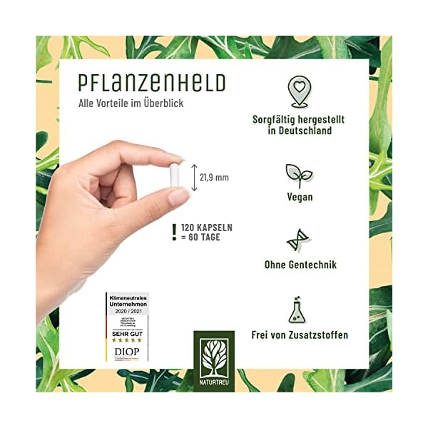 PFLANZENHELD Vegan Multivitamin Kapseln - 120 Kapseln für Veganer und Vegetarier - Daily Vitamins mit B12, Eisen, Zink… – Bild 7