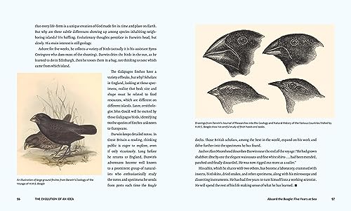 Discovering Life's Story: The Evolution of an Idea - Image 3