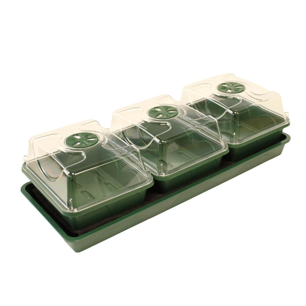 Gardening Naturally Windowsill Seed Spa Self Watering Propagator with Capillary Mat and Clear Cover for Vegetable Herb and Flower Seeds (3 Bays)