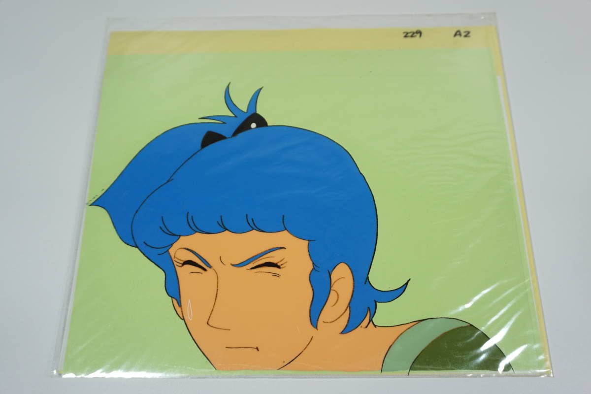 Amazon.co.jp: No.309 アニメ タイトル不明 セル画1枚 : おもちゃ