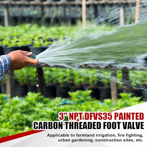 Image of MorningRo 3 Inch Cast Iron Foot Valve NPT Painted Carbon Threaded Foot Valve for Water Service Only