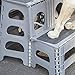 Range Kleen Gray Folding 2-Step Dog Pet Step by Range Kleen