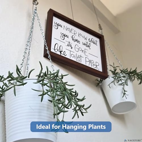 Image of NACETURE Picture Frame Security Hanging Kit, Double 6 Pack | Heavy-duty steel cables provide reliable secondary protection for valuable framed artwork and displays.