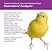 F.M. Brown's Tropical Carnival Gourmet Parakeet Food, Nutritionally Enhanced Daily Diet with Fruits, Veggies, Nuts, Seeds, and Grains, 2-lb Bag - Vitamin-Nutrient Fortified