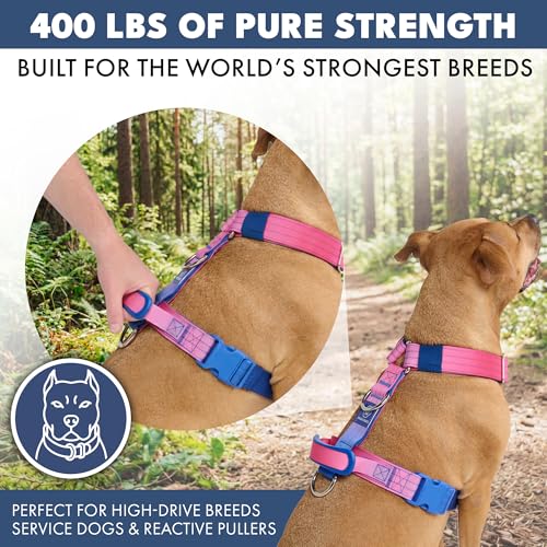 Image of Spark Paws No Pull Dog Harness with Handle for Large Dogs, Heavy Duty Dog Harness for Big Strong Breeds, Adjustable, Y Shaped Padded Halter Design with Front Clip - Snow Cone - L