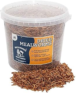 Walters Meal Worms (5L - 1.1kg) - Dried Mealworms for Birds, Fill Your Garden with Bird Life with Plump, Juicy, Highly Nutritious Premium Grade Mealworms in Stay Fresh, Easy Tubs